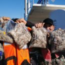 나라3호 이미지