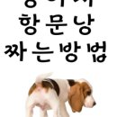 유동물병원 네이버블로그