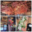 모모포차 | 이태원이자카야 분위기좋은 모모의기묘한모험 방문후기