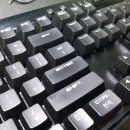 수원-0021 이미지