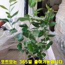 탁근농장 네이버블로그