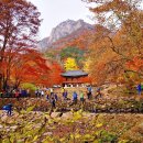 장성삼거리 이미지