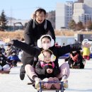 송어축제 쿠키뉴스