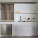 팔레드시즈 이미지