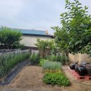 더불어 함께 사는 세상~~ 이미지