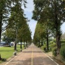 안성맞춤랜드 | 아이와 봄나들이 가기 좋은 곳｜안성맞춤랜드 넓은 잔디밭 나들이 후기