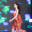 가비채