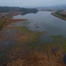 보은붕어낚시 이미지