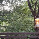 반디하우스 이미지