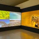 민속자연사박물관 이미지