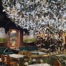 디라이프 이미지