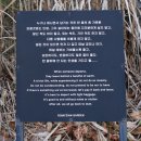 강원도 정선 에 다녀와서 / 첫날 이미지