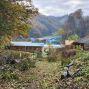 논산목장 이미지