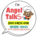 팡팡애견 이미지