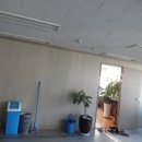 비룡로2 이미지