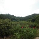 완도읍-12 이미지