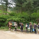 봉미산 계곡 예당 이미지