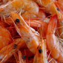 JC AUTO SHOP 이미지