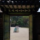 하늘종묘 | 종묘 관람 실패 후 발걸음을 돌린 창덕궁 나들이