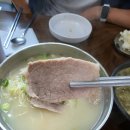 제주새롬여행사주 | [제주 서귀포 맛집] 맛존디 국수 : 고기국수, 몸국, 식사하면 사주봐주는 곳