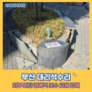 씨유 명지국제금강2차점 | 부산 대리석수리 외부 화단 경계석 보수 교체 업체