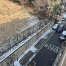 중앙동271 이미지