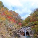 20181020 양양 설악산 주전골 트레킹 + 휴휴암 동해바다 탐방 이미지