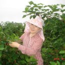 인숙농장 이미지