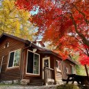 유명산자연휴양림 이미지