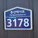 청정미담
