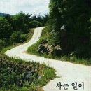 먹자판