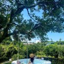 그날저지 | [제주도 독채 풀빌라] 제주 그날저지 펜션 수영장 만족 후기