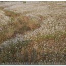 익산시(만경교) 네이버블로그