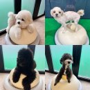 놀러오개 불로점 이미지