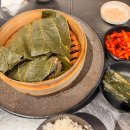 소노펠리체 델피노 이미지