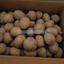 회천농장 이미지