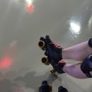 다인투어