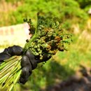 장미로48번길 이미지