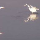 보석상자 이미지