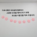 도로시 펫 이미지