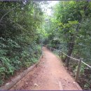 서리풀길 4 이미지