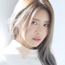 그린헤어 네이버블로그