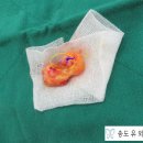 송도유외과의원 이미지