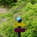 상전면행정복지센터 이미지