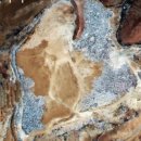 큰산공인중개사사무소 이미지