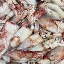 한치로1 이미지