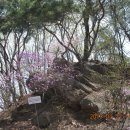 맹산2공원 이미지