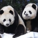 코리농장 이미지