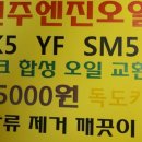 독도카타이어 이미지