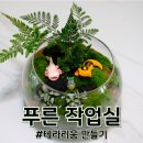 동부초교 | [대구/경산] 숲을 초대하다, 푸른 작업실 : 테라리움 경북원데이클래스